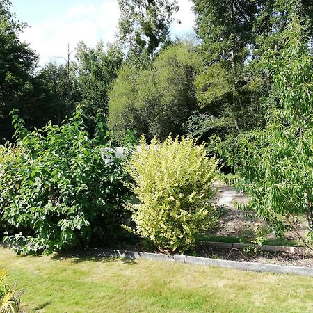 Au Coeur Du Jardin Villa La Boussac Ngoại thất bức ảnh