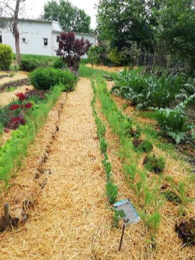 Au Coeur Du Jardin Villa La Boussac Ngoại thất bức ảnh